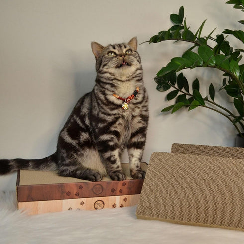 Necoichi Cardboard Cat Scratcher Bed for Indoor Cats, Cat Scratching Board (16" Regular, Replacement 2 Pads)