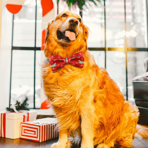 60 Pcs Christmas Dog Collar Bow Ties Bulk, Warm Snowman Detachable Bowties for Small Medium Large Dogs, Cat Grooming