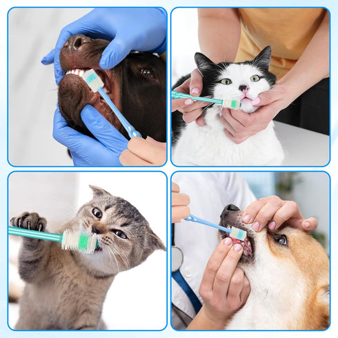 LXUEJIE 4 360-Degree Pcs Pet Toothbrush for Puppy, Small Dog and Cat Soft Toothbrush Pet Teeth Cleaning Kit (Blue