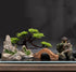 Small Japanese Fish Tank Decorations Set, Suitable for Aquariums up to 5 Gallon, Includes Plastic Plants