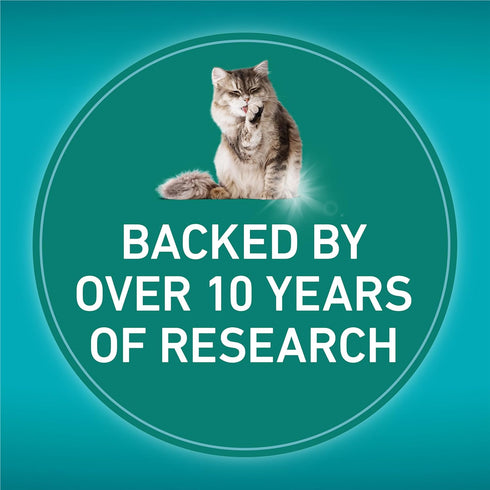 6.3 lb. Purina ONE LiveClear Allergen-Reducing Cat Food Dry Formula with Real Chicken As The Number One Ingredient