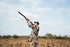 UIIHUNT Adjustable Dove Hunting Belt, Game Bag, Dove Gear Field and Shooting Accessories