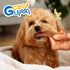 gazeupon Soft Dog Jerky Treats for Large Dogs, Triple Flavored Meat Strips, Healthy Training Snacks Made with Real
