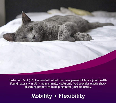 Hyalogic HyaFlex Hyaluronic Acid for Cats, Natural Cat Joint Supplement, 30ml