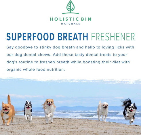 Canine Chlorella Tablets, Natural Dog Breath Freshener & Immune Booster Supplement, 100 Vegan Tablets