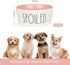 27OZ Ceramic Dog Bowl - 6'' Extra Large Food Water Dog Bowl, Heavy Duty Non-Slip Dog Dish for Medium Dogs, Food Grade Porcelain Pet Feeder Bowl, Microwave & Dishwasher Safe, Pink