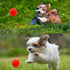 4 Pack Puppy Balls, Teething Ball for Small Dogs, Squeaky Rubber Ball, Puppy Chew Toys for Chewing