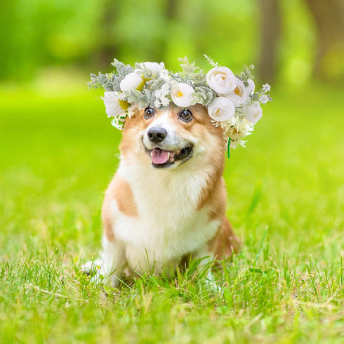 Dog Wedding Flower Collar, Wreath Bow for Weddings, Flower Ring Pets Cats and Dogs, Pet Photo Prop (White)