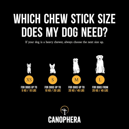 Large Dog Chew Sticks - 2-Pack Natural Coffee Tree Wood Dental Chews for Dog Breeds