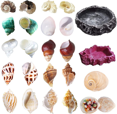 13 Pack Hermit Crab Shells with 2 Pack Food and Water Bowl, Growth Turbo Seashell Supplies Accessory