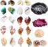 13 Pack Hermit Crab Shells with 2 Pack Food and Water Bowl, Growth Turbo Seashell Supplies Accessory