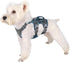 Puppy Harness Escape Proof Dog Harness for Small Dogs - Waterproof Reflective Breathable Dog Vest with Handle for Daily Walking, Training (Gray, XS)