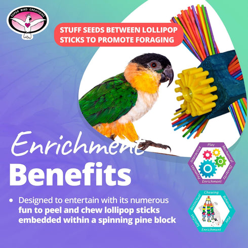 SB963 6.5"x4" Super Bird Creations Twirl N' Whirl Bird Toy - Handcrafted Wooden Bird Stuff with Lollipop Sticks
