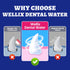 Lysozyme 12.85 oz Wellix Cat & Dog Breath Freshener Water Additive - Natural Probiotic, Fresh Breath Mouthwash for Dog