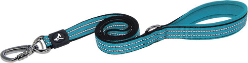 KRUZ PET 4" Long Reflective Heavy Duty Click Lock Hook Leash, Strong Nylon Safety Lead with Padded Handle
