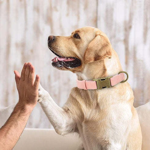 Didog Soft Leather Dog Collar, Durable Heavy Duty with Quick Release Metal Buckle, Adjustable Pink for Large Medium