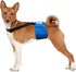 Paw Inspired Dog Diaper Suspenders - Adjustable Velcro Fasteners for Disposable and Washable Diapers (S/M, Black)