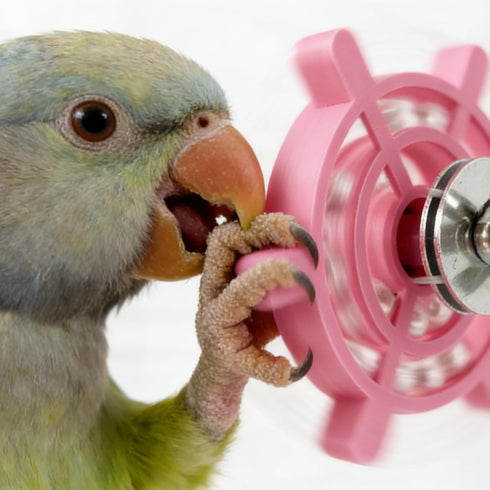 Generic Parrot-Toys Interactive Spinner Bird-Toys for Parakeet-Cockatiel Budgie Bird Cage Accessories Relieves Boredom