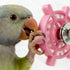 Generic Parrot-Toys Interactive Spinner Bird-Toys for Parakeet-Cockatiel Budgie Bird Cage Accessories Relieves Boredom