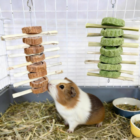 Jwizyotr 2 Chinchillas Rabbit Chew Toys for Teeth PCS Guinea Pig Chews Treats Rat Cage Accessories with Papaya Stems
