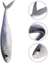 DOITOOL Lifelike Tuna Soft Bait Sinking Lure for Sea Fishing, Reusable Attractive Fishing Tool for Saltwater Anglers