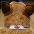 Azeeda (PR00080221) Small 'Toy Boat' Dog Collar