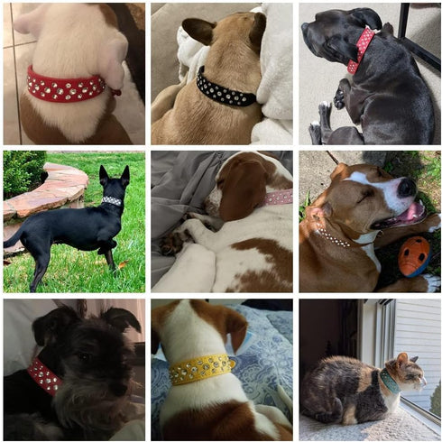 Rhinestone Dog Collar, Bling PU Leather Crystal Diamond, for Black S M L XL Dogs, M, Red
