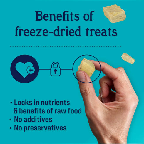 Stewart Freeze Dried Dog Treats - Chicken Breast, 14.8 oz, Grain Free & Gluten Free, Resealable Tub