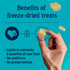 Stewart Freeze Dried Dog Treats - Chicken Breast, 14.8 oz, Grain Free & Gluten Free, Resealable Tub