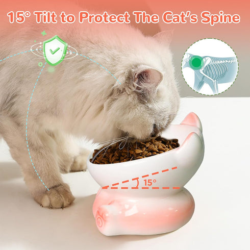 Elevated Cat Bowls, Whisker Friendly Tilted Ceramic Cat Bowls for Indoor Cats, Cute Gradient Color (White Pink)