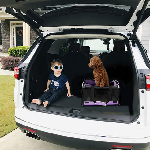 Ventilated Softside Pet Carrier for Yorkie Dog Travel, Tiny Dog Crate for Teacup Poodle, Purple