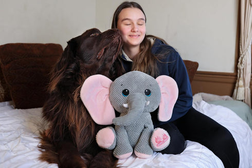 Gentle Giants Plush Elephant Dog Toy | Heavy Duty Dog Toys for Large Dogs Dog Enrichment Toys for Large Dogs | Dog Toys