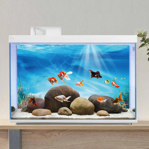 AWERT 36x20 inches Vinyl Undersea Theme Aquarium Background with Colorful Coral and Tropical Fish