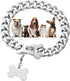 Silver Chain Dog Collar, 19mm Stainless Steel Cuban Link with Secure Snap Buckle for Small Medium Pitbull (19MM, 22")