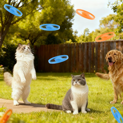12 Set 3 6 Pcs Cat Fetch Toy with Red Spinning Tops Flying Discs Colorful Interactive Toys for Kitten Chasing Tracking