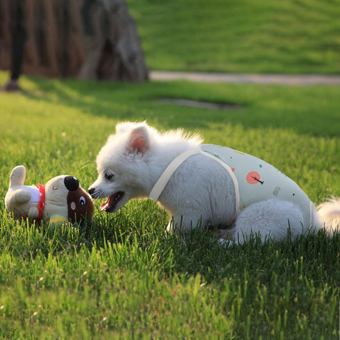 QBLEEV Dog Diapers Female Washable Sanitary Pantie with Adjustable Suspender, Reusable Doggie Diaper Puppy Diapers Male