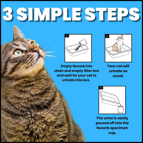 Creative Science Nosorb Non-Absorbent Cat Litter, 6 oz, Easily Collect Urine Samples