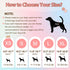 10 Ambreview Disposable Dog Diapers Female, Just Pull It Up, Doggie Diapers for Female Dogs, Strong Absorbency | Leak