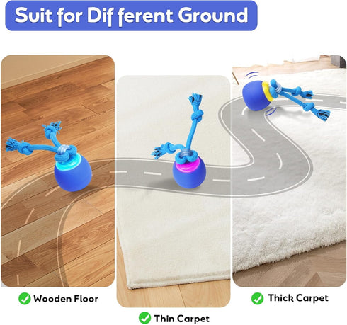 Interactive Touch Activated Dog Ball Toy