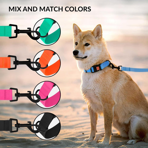 CollarDirect Waterproof Dog Collar – Silicone, Odor-Resistant, Adjustable for Large, Medium, Small Dogs (Black)