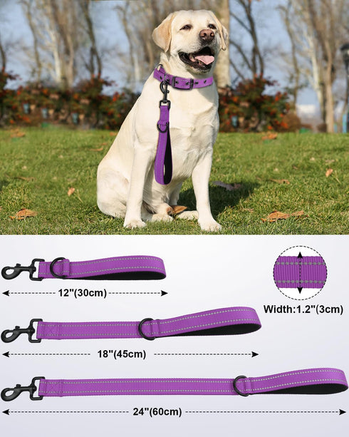 Joytale 2FT Strong Short Dog Leash, Heavy Duty Traffic Leash with Padded Handle for Medium and Large Dogs, Purple