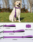 Joytale 2FT Strong Short Dog Leash, Heavy Duty Traffic Leash with Padded Handle for Medium and Large Dogs, Purple