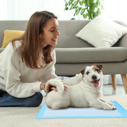 Super Absorbent Waterproof Dog Training Pad - Housebreaking Pet Pad (Blue, 23.6"x35.4", 20PCS)