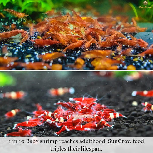 Immune SunGrow Baby Shrimp & Fish Fry Food, Essential Yellow Microbial Powder Enzyme, for Proper Nutrition, Digestion