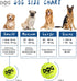 Colorful Squeaky Tennis Balls for Dogs, Easy Catching Pet Dog Balls 12 Pack (2.5inch-6colors)