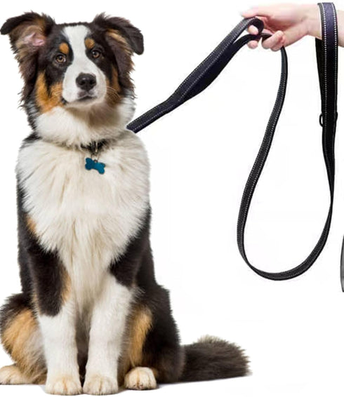 4FT Black Strong Dog Leash with 2 Padded Handles, Double-Sided Reflective Walking Lead for Small Medium Large Dogs