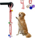 Frayot Dog Door Bell for Potty Training, Adjustable Dog Bells to Go Outside