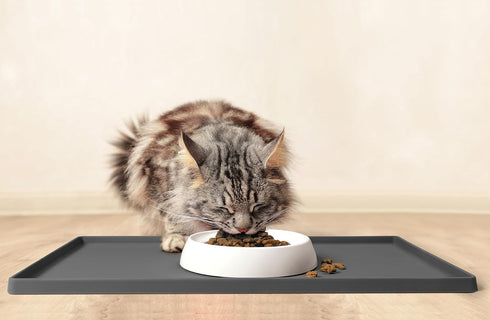 CatGuru Whisker Friendly Cat Bowls, Non Slip Pet Feeding Bowls for Indoor Cats, Shallow Kitten Dish (Marshmallow)