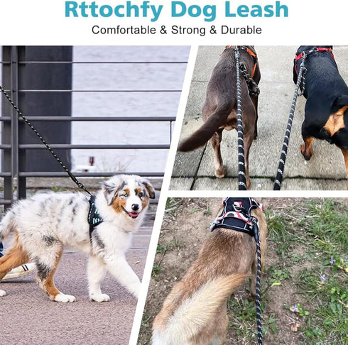 CBBPET Heavy Duty Dog Leash, Highly Reflective Threads for Large Medium Small Dogs, Durable Puppy Training Leash