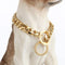 "Dog Chain Collar 18K Gold High Polished Stainless Steel Cuban Link Heavy Duty Chew Proof Leash for Small Dogs (12mm,